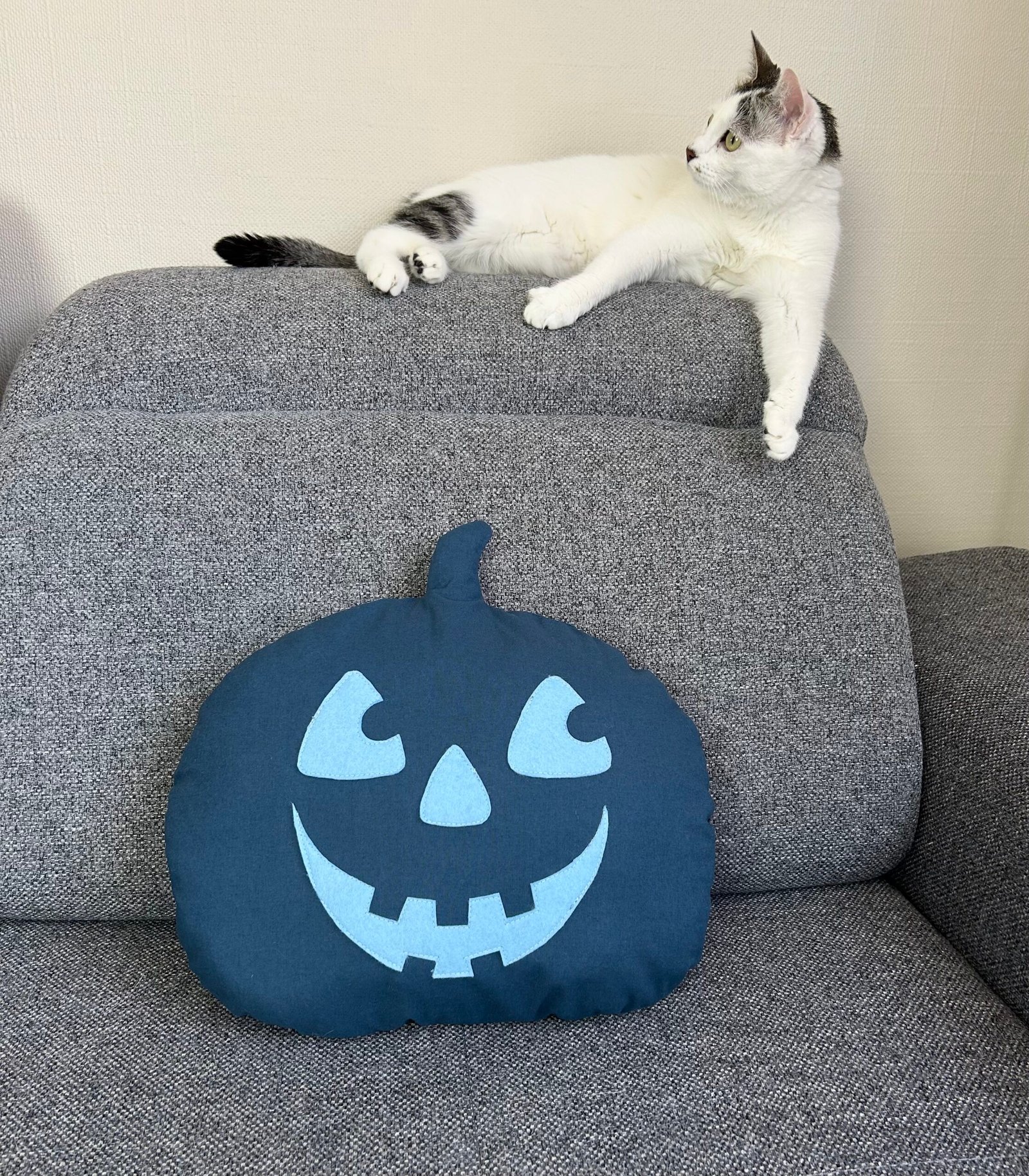 Coussin citrouille décoratif en tissu photographié avec un chat