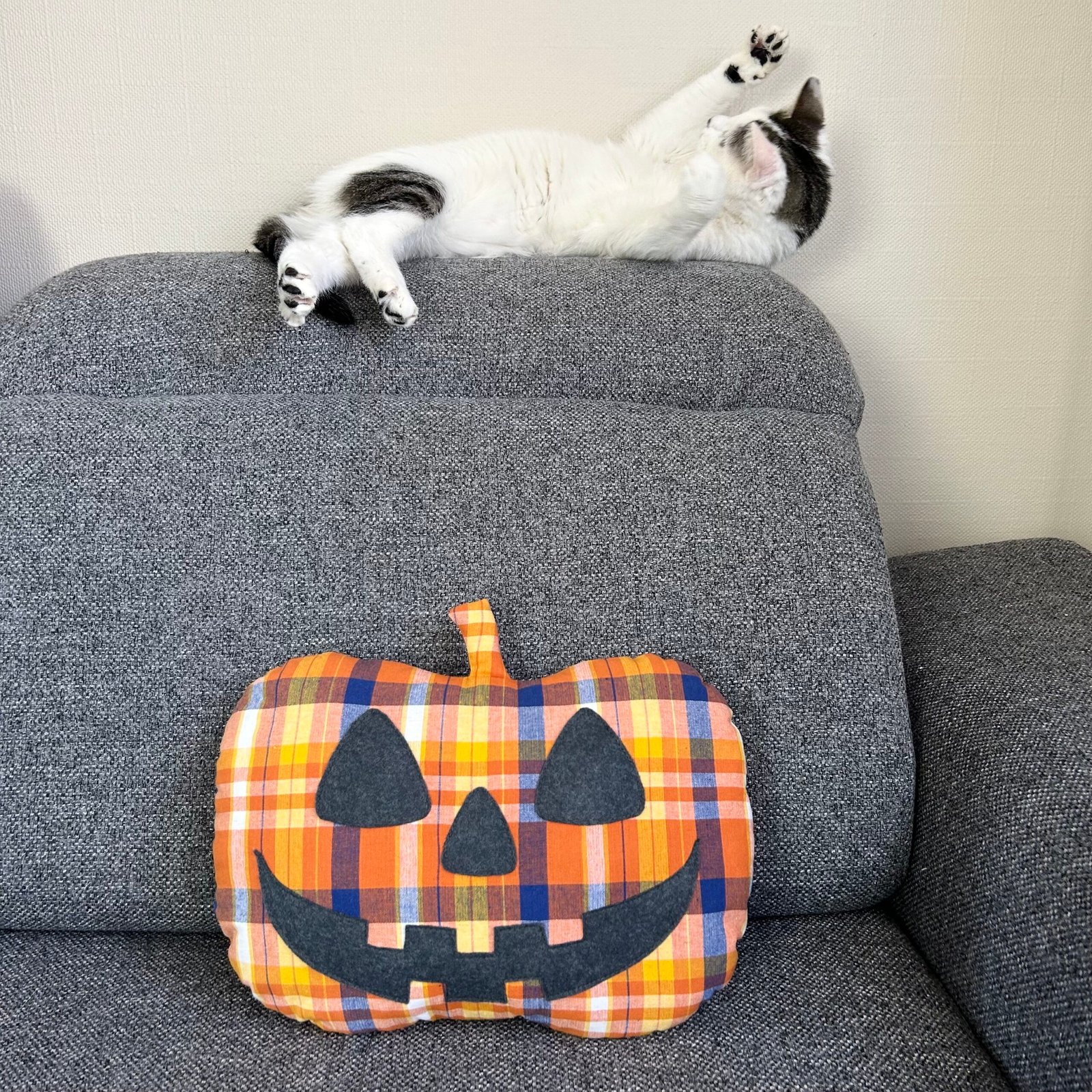 Coussin citrouille cousu main avec un chat à côté pour une décoration d'automne